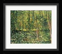 Trees and Undergrowth, 1887 Framed Print