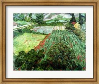 Field with Poppies, 1889 Fine Art Print