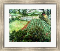 Field with Poppies, 1889 Fine Art Print