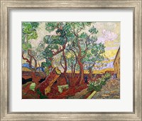 The Garden of St. Paul's Hospital at St. Remy, 1889 Fine Art Print