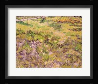 Meadow with Butterflies, 1890 Fine Art Print