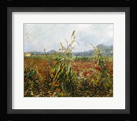 Corn Fields and Poppies, 1888 Fine Art Print