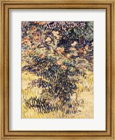 Oleanders, the Hospital Garden at Saint-Remy, 1889 Fine Art Print