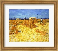 Harvest in Provence Fine Art Print