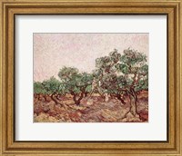 The Olive Pickers - picking Fine Art Print