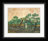 The Olive Pickers Fine Art Print