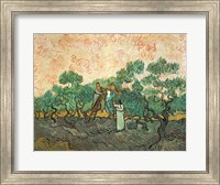 The Olive Pickers Fine Art Print