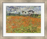 Field of Poppies Fine Art Print