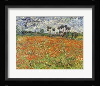 Field of Poppies Framed Print