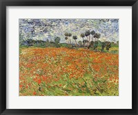 Field of Poppies Fine Art Print