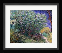 Lilac Bush, 1889 Fine Art Print