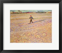 The Sower, 1888 Fine Art Print