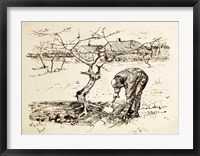 In the Orchard Fine Art Print