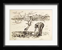 In the Orchard Fine Art Print