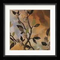 Sundown Bronze II Framed Print