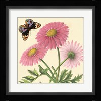 Country Cousins II Framed Print