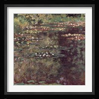 Etang aux Nympheas Fine Art Print