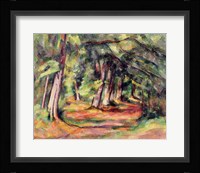 Sous-bois Fine Art Print