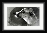 Head of a Dog with Short Ears, 1879 Fine Art Print