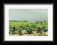 Celeyran, View of the Vineyard, 1880 Fine Art Print