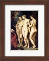 The Medici Cycle: Education of Marie de Medici, detail of the Three Graces Fine Art Print