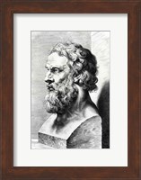 Bust of Plato Fine Art Print
