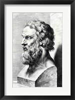 Bust of Plato Fine Art Print