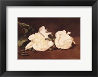Branch of White Peonies and Secateurs, 1864 Fine Art Print