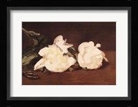 Branch of White Peonies and Secateurs, 1864 Fine Art Print