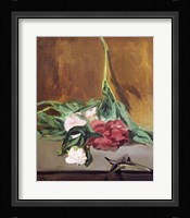 Stem of Peonies and Secateurs, c.1864 Fine Art Print