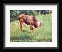 Young Bull in a Meadow, 1881 Fine Art Print