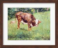Young Bull in a Meadow, 1881 Fine Art Print
