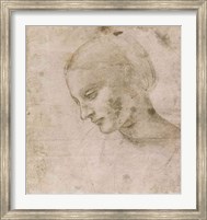 Head of a Young Woman or Head of the Virgin Fine Art Print