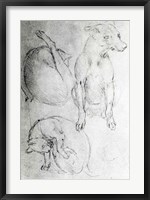 Study of a dog and a cat Fine Art Print