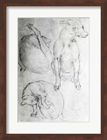 Study of a dog and a cat Fine Art Print