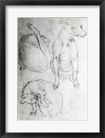 Study of a dog and a cat Fine Art Print