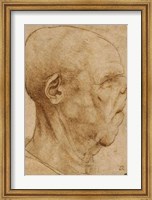 Caricature of the head of an old man, in profile to the right, c.1507 Fine Art Print