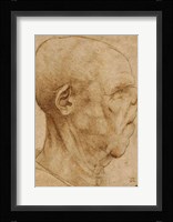 Caricature of the head of an old man, in profile to the right, c.1507 Fine Art Print