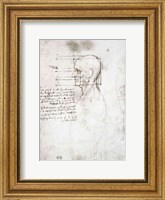 Head of an Old Man in Profile Fine Art Print