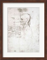 Head of an Old Man in Profile Fine Art Print
