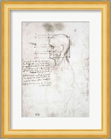 Head of an Old Man in Profile Fine Art Print