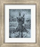 Bone Structure of the Human Neck and Shoulder Fine Art Print