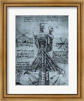 Bone Structure of the Human Neck and Shoulder Fine Art Print