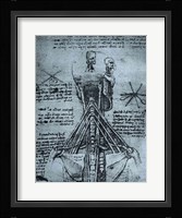 Bone Structure of the Human Neck and Shoulder Fine Art Print