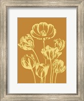 Tulip 20 Fine Art Print