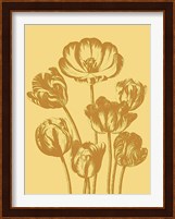 Tulip 19 Fine Art Print