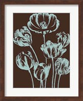 Tulip 17 Fine Art Print