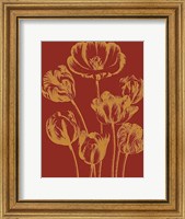 Tulip 16 Fine Art Print