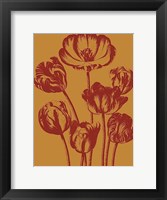 Tulip 15 Fine Art Print