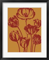 Tulip 15 Fine Art Print